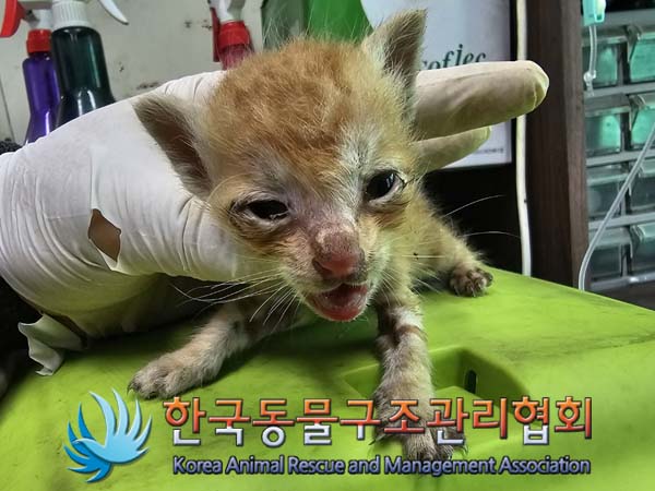 종료(자연사) 한국…